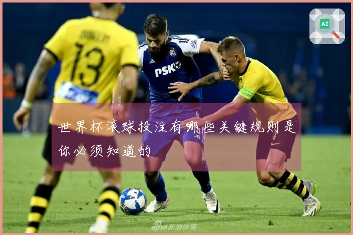 世界杯滚球投注有哪些关键规则是你必须知道的