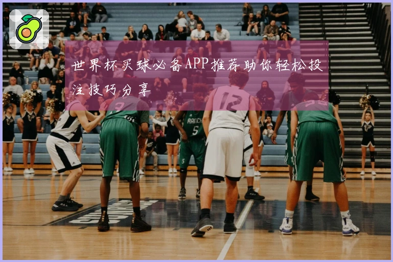 世界杯买球必备APP推荐助你轻松投注技巧分享