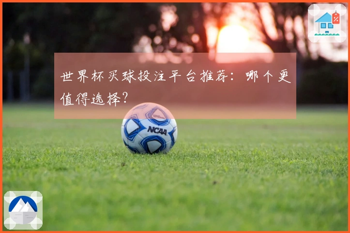 世界杯买球投注平台推荐：哪个更值得选择？