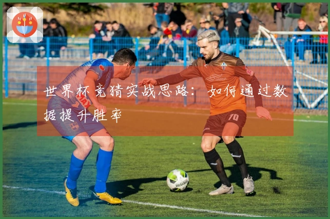 世界杯竞猜实战思路：如何通过数据提升胜率