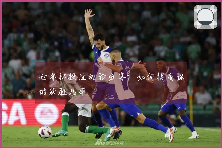 世界杯投注经验分享：如何提高你的获胜几率