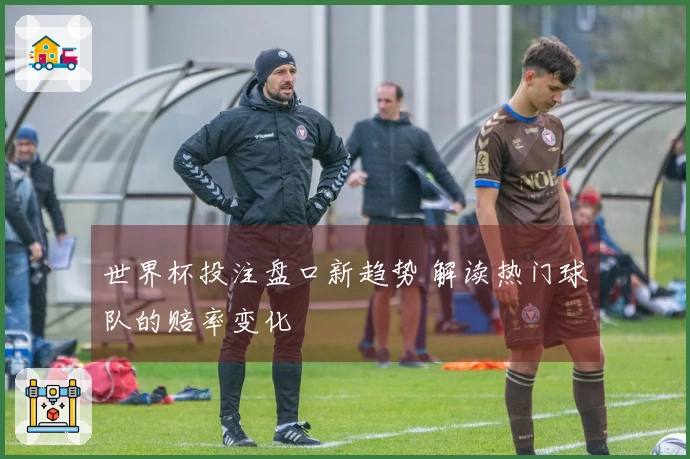 世界杯投注盘口新趋势 解读热门球队的赔率变化