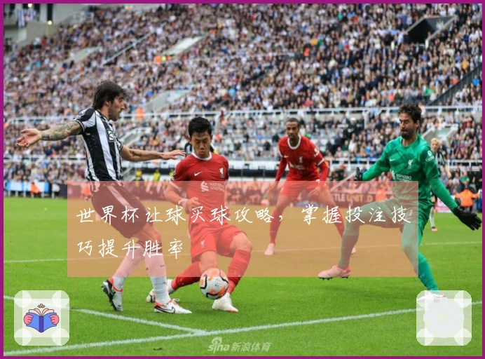 世界杯让球买球攻略，掌握投注技巧提升胜率