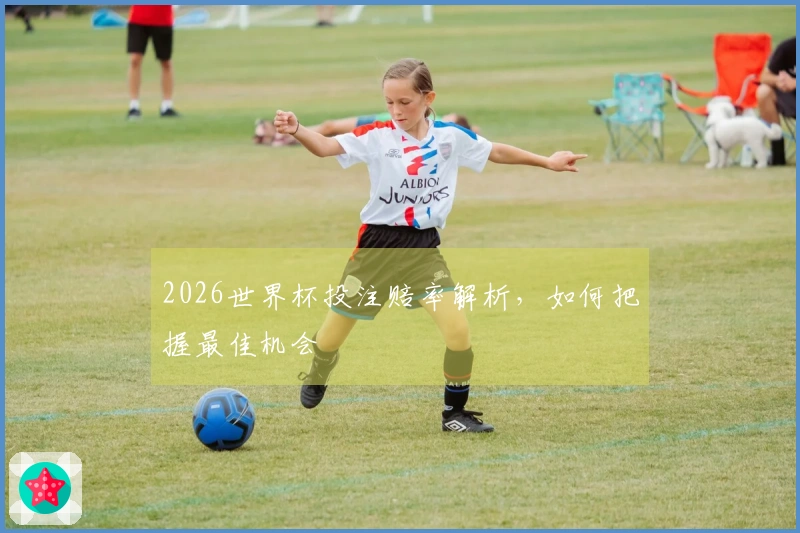 2026世界杯投注赔率解析，如何把握最佳机会