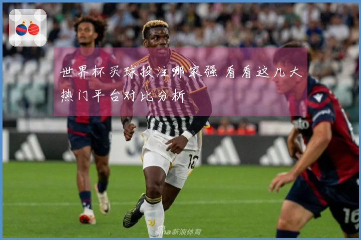 世界杯买球投注哪家强 看看这几大热门平台对比分析
