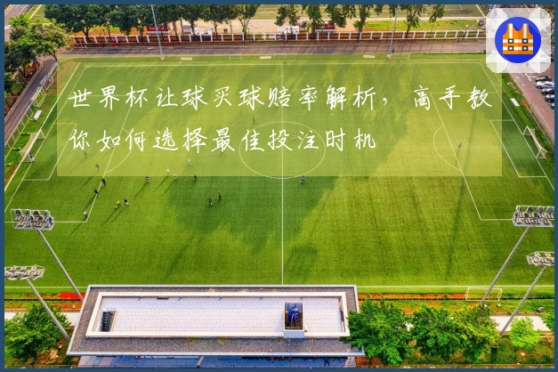 世界杯让球买球赔率解析，高手教你如何选择最佳投注时机
