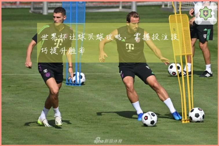 世界杯让球买球攻略，掌握投注技巧提升胜率