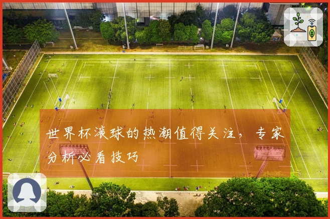 世界杯滚球的热潮值得关注，专家分析必看技巧